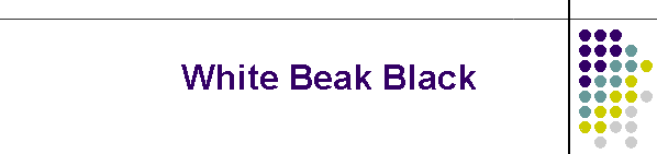 White Beak Black