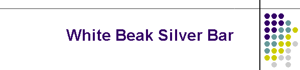 White Beak Silver Bar
