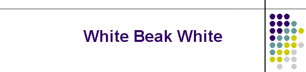 White Beak White